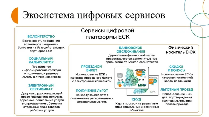 Волонтерство+2026_1_page-0005