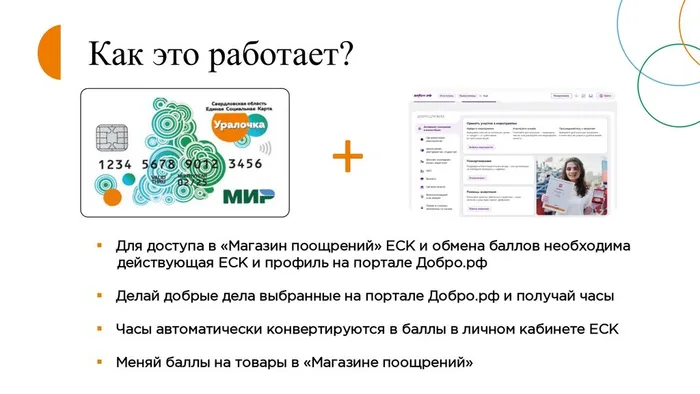 Волонтерство+2026_1_page-0008