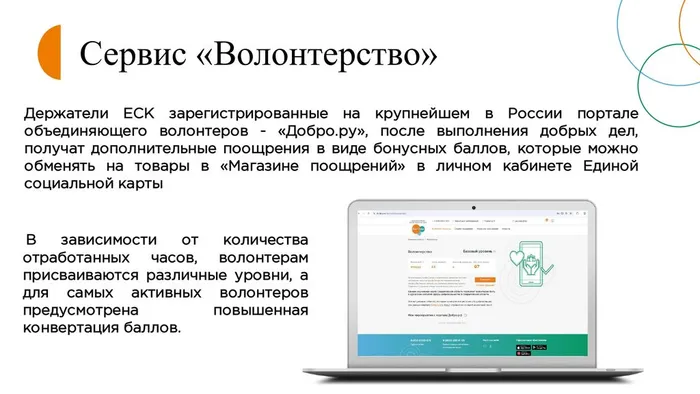 Волонтерство+2026_1_page-0007
